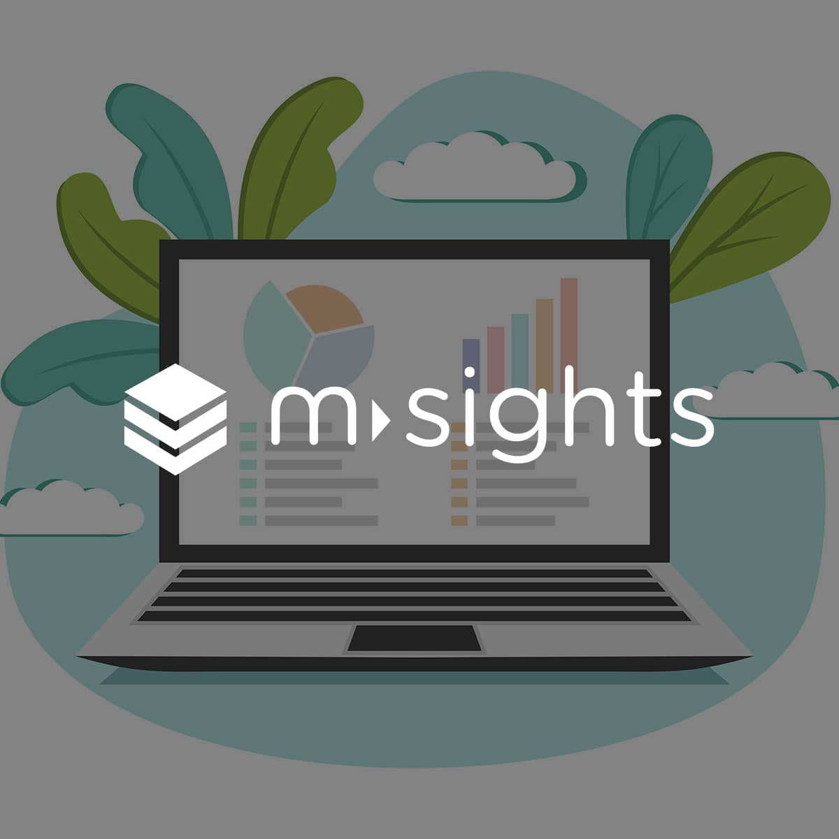 MSights logo