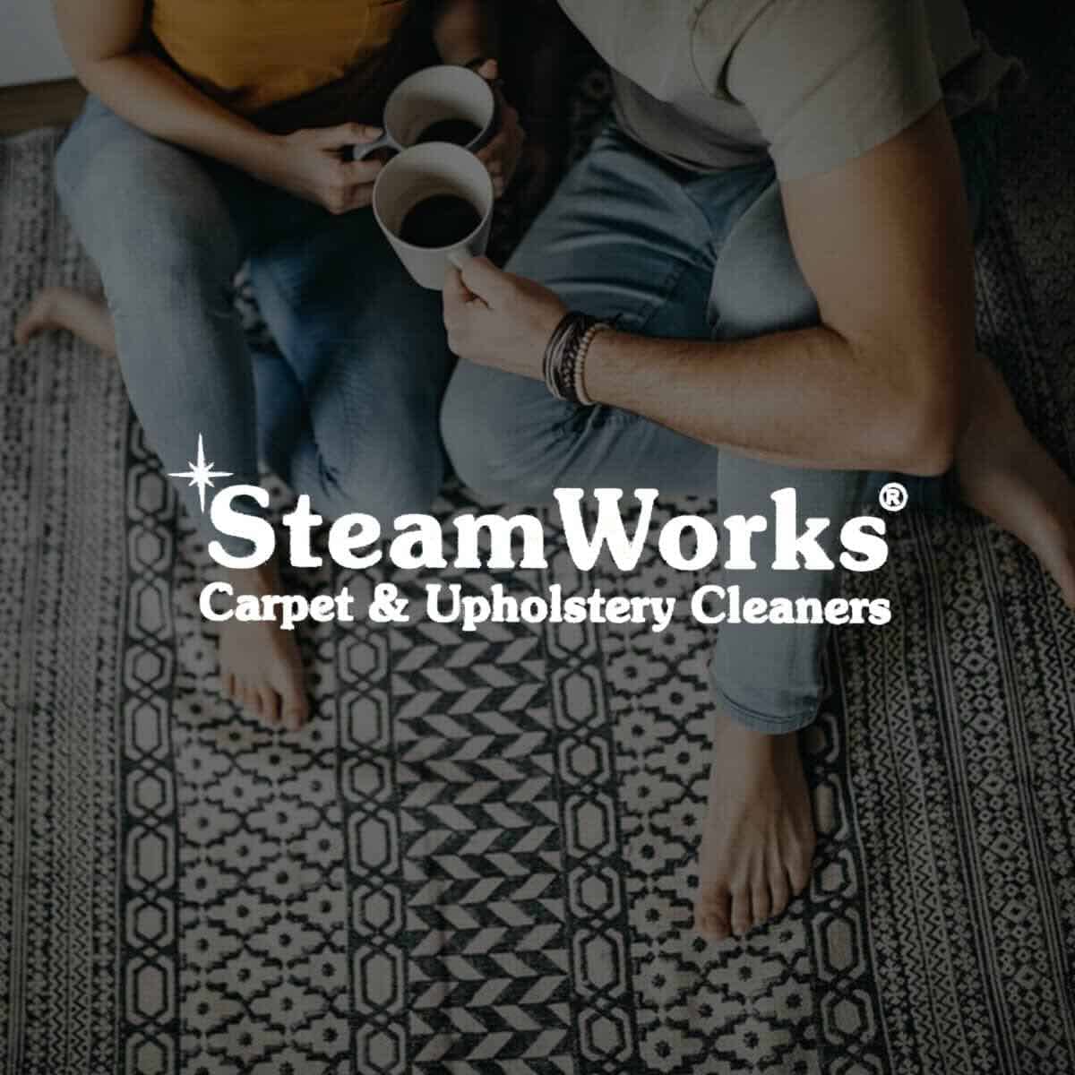 Steam Works Carpet Cleaning logo