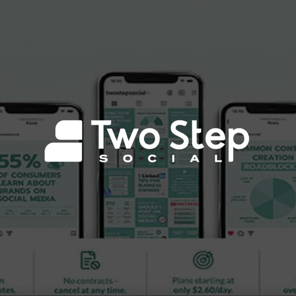 Two Step Social logo