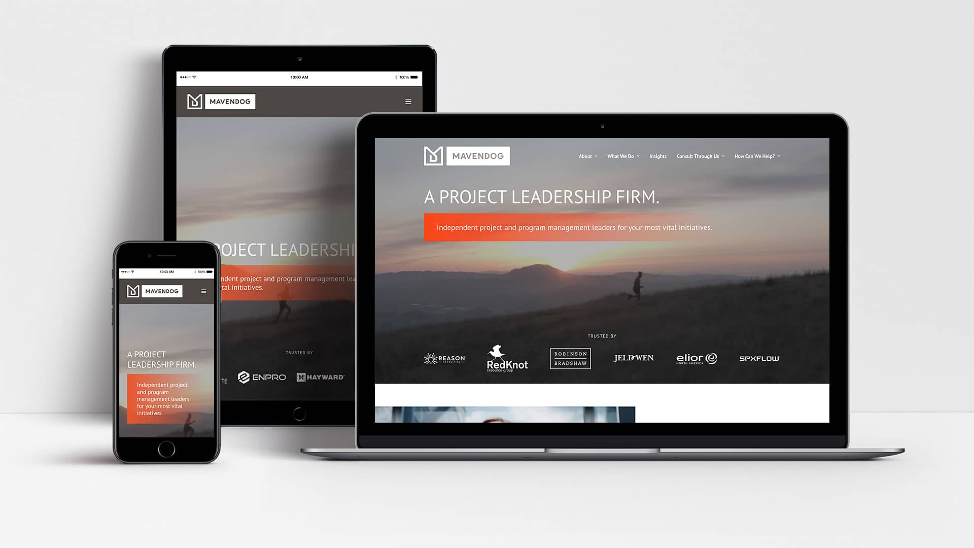 Mavendog website shown on laptop, tablet and mobile