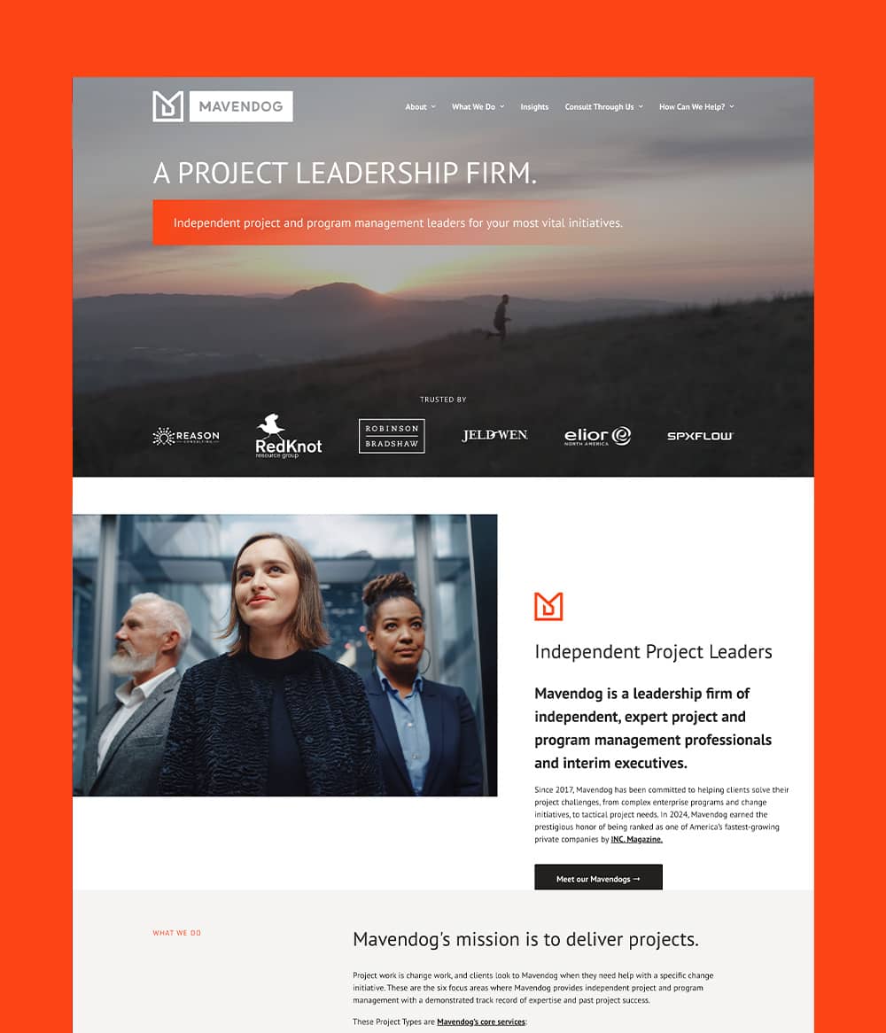 Mavendog website home page screenshot
