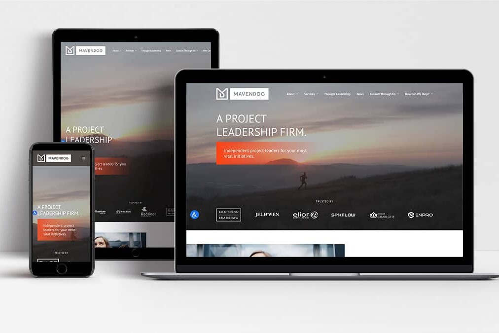 Mavendog website shown on laptop, tablet and mobile