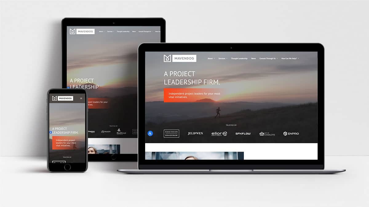 Mavendog website shown on laptop, tablet and mobile