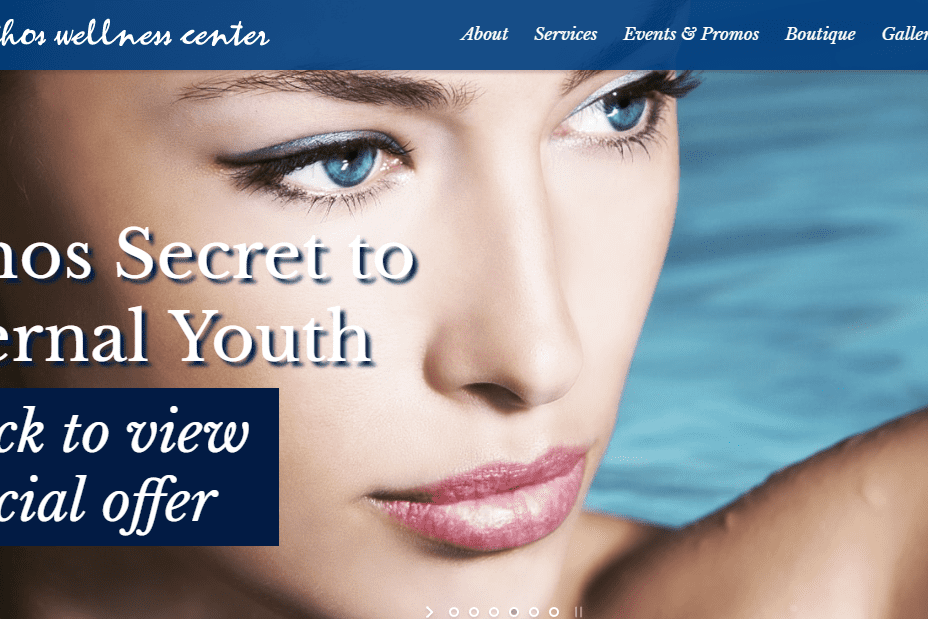 Ethos Wellness Center website screenshot